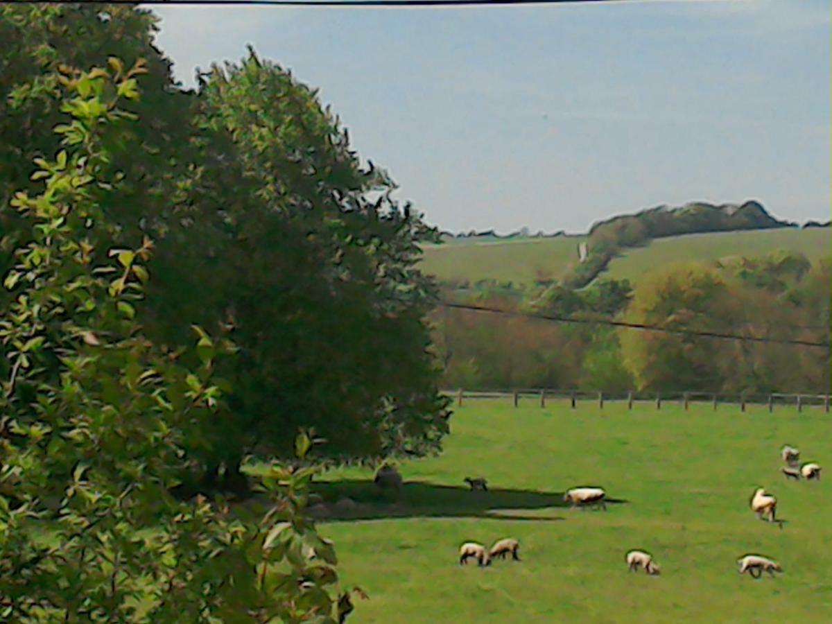 The Crown Inn Alvediston Bagian luar foto
