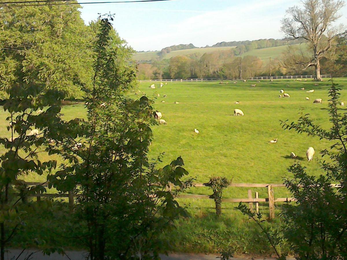 The Crown Inn Alvediston Bagian luar foto