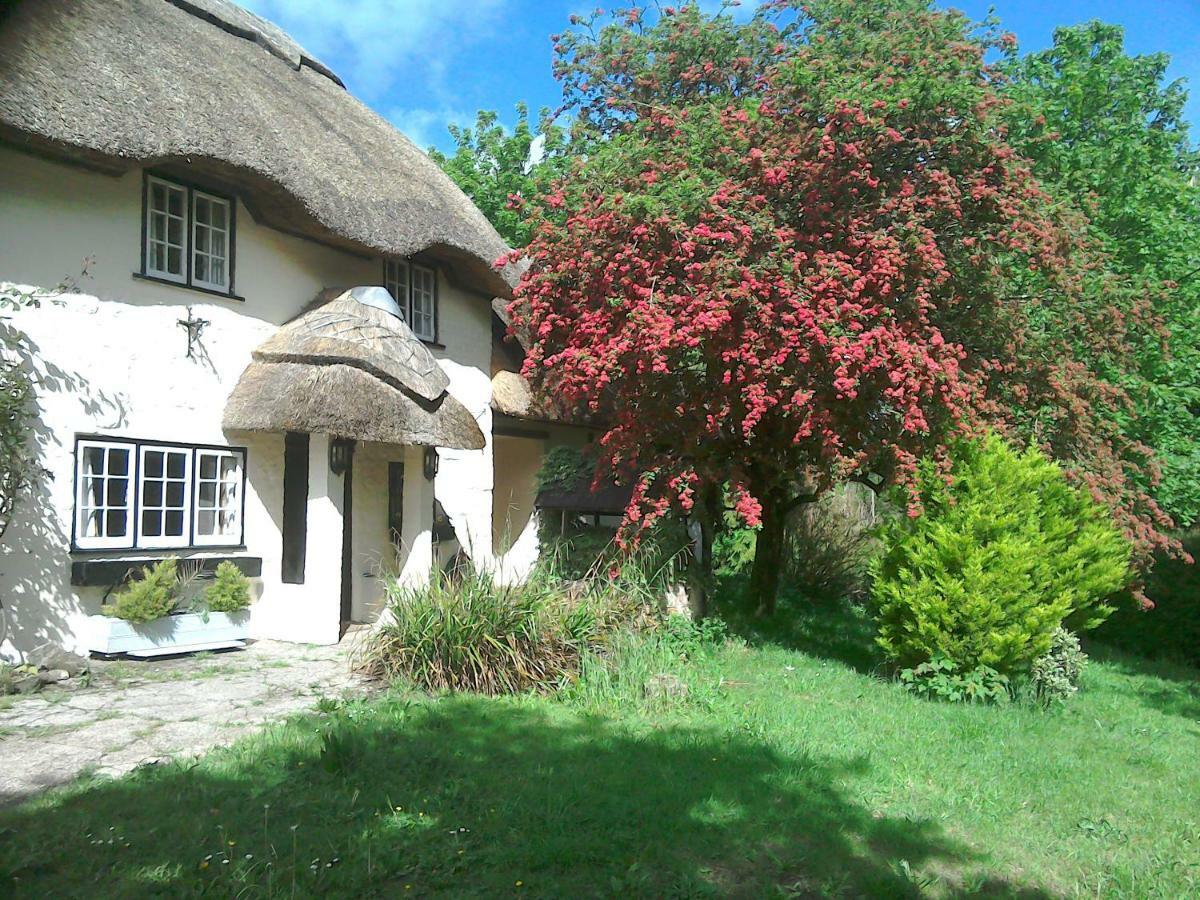The Crown Inn Alvediston Bagian luar foto