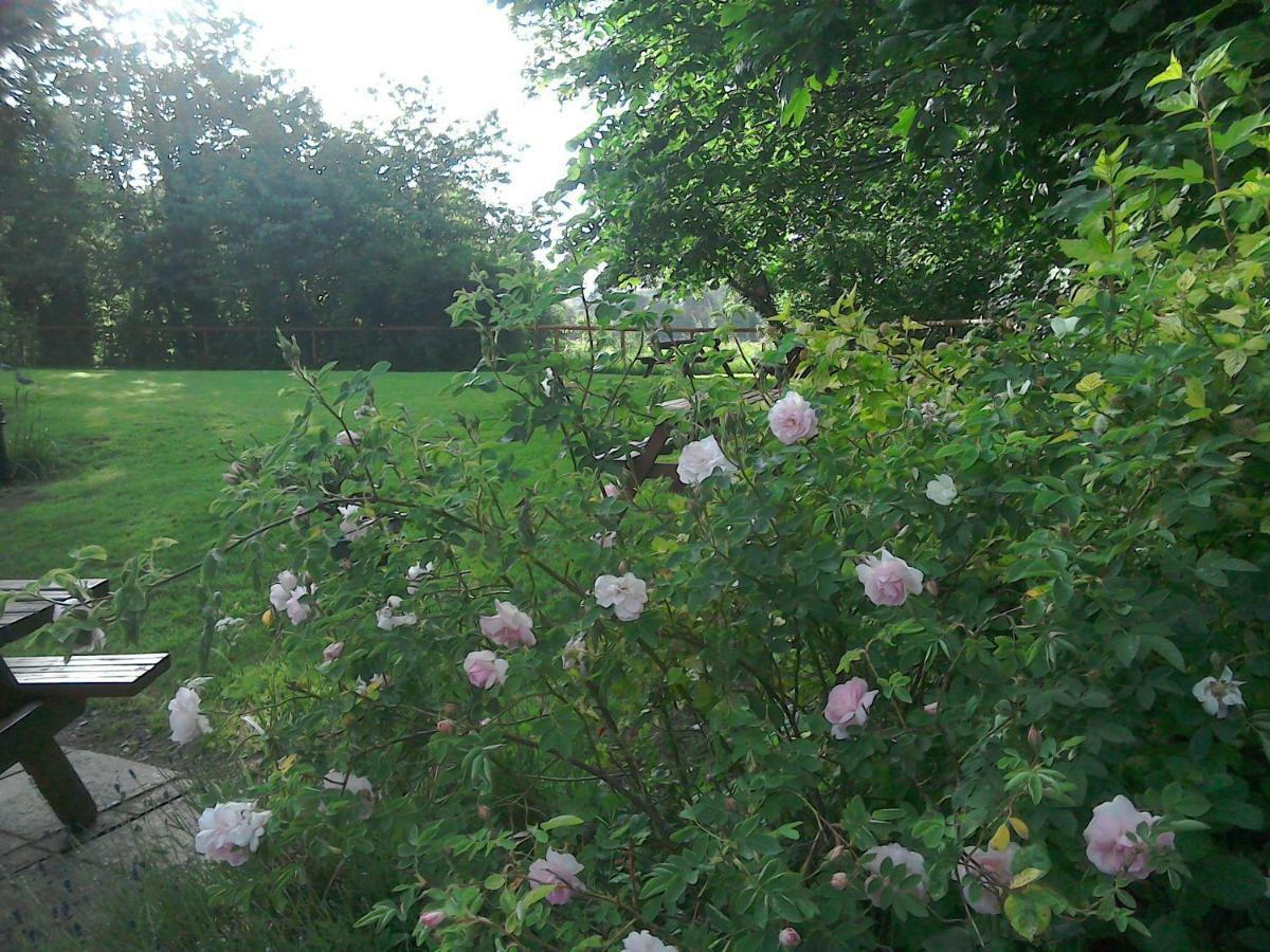 The Crown Inn Alvediston Bagian luar foto