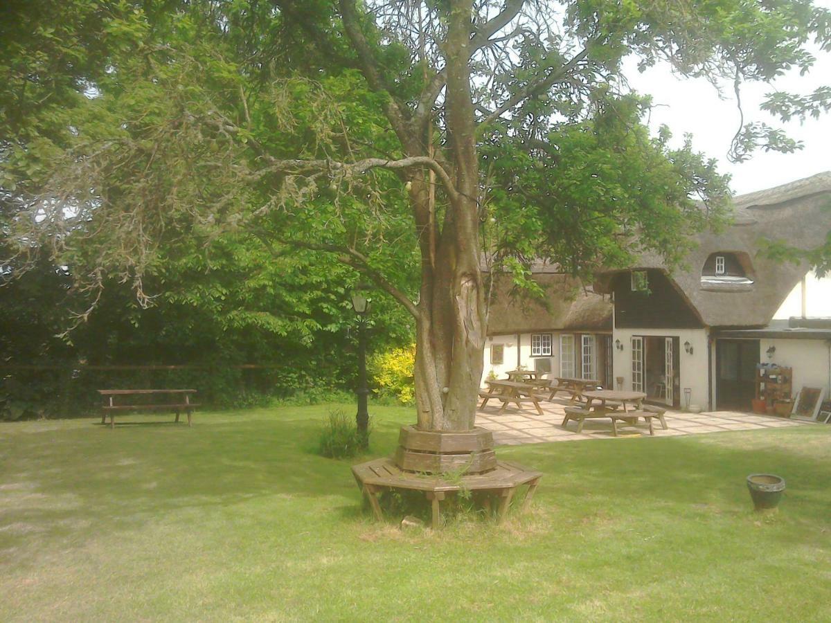 The Crown Inn Alvediston Bagian luar foto